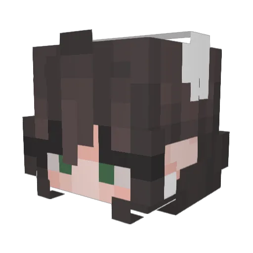 nifflerjoe Minecraft avatar head, 3D render