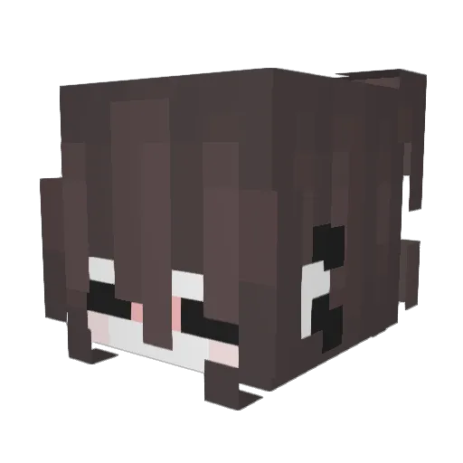 niffty021 Minecraft avatar head, 3D render