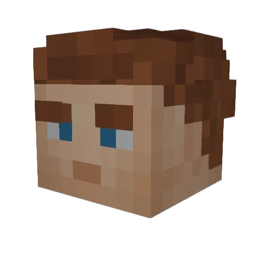nig1r1 Minecraft avatar head, 3D render