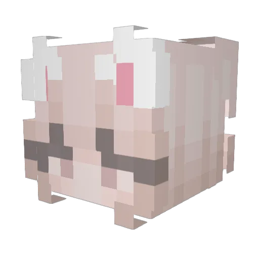 nigbob35 Minecraft avatar head, 3D render