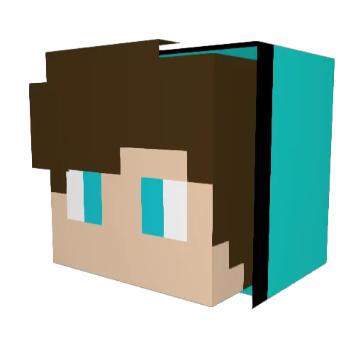 niggi1303 Minecraft avatar head, 3D render