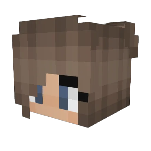 night1598 Minecraft avatar head, 3D render