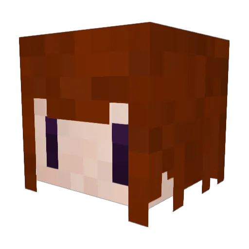 night_Tail Minecraft avatar head, 3D render