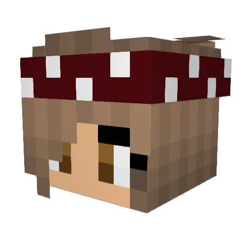 night_core Minecraft avatar head, 3D render