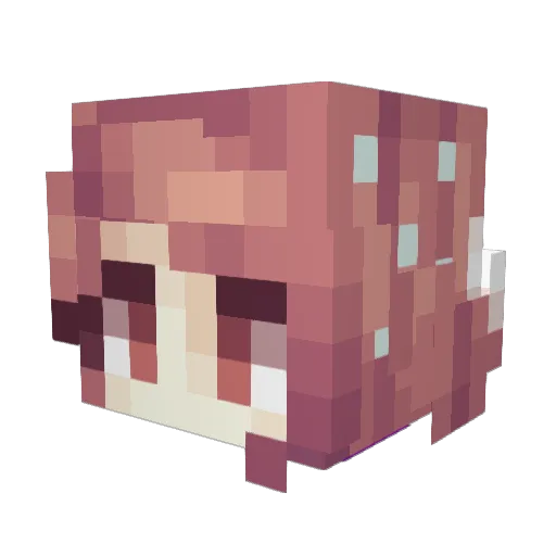 night_owlll Minecraft avatar head, 3D render