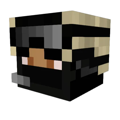 nightbug123 Minecraft avatar head, 3D render