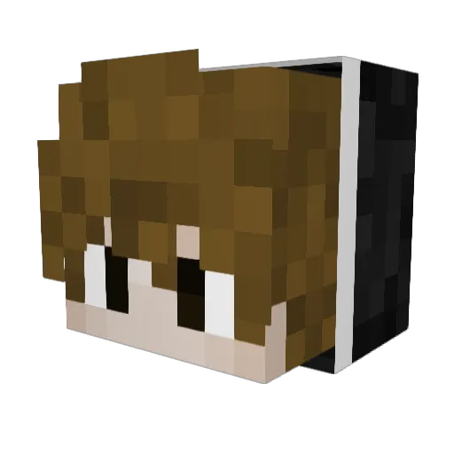 nightcured Minecraft avatar head, 3D render