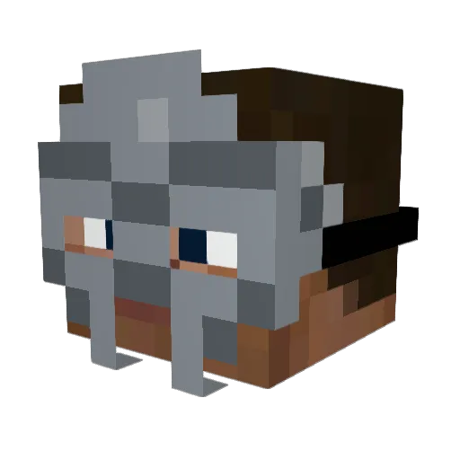 nightfaring Minecraft avatar head, 3D render