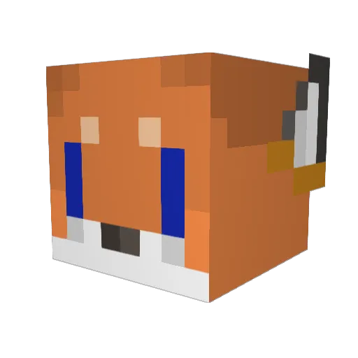 nightfox998 Minecraft avatar head, 3D render