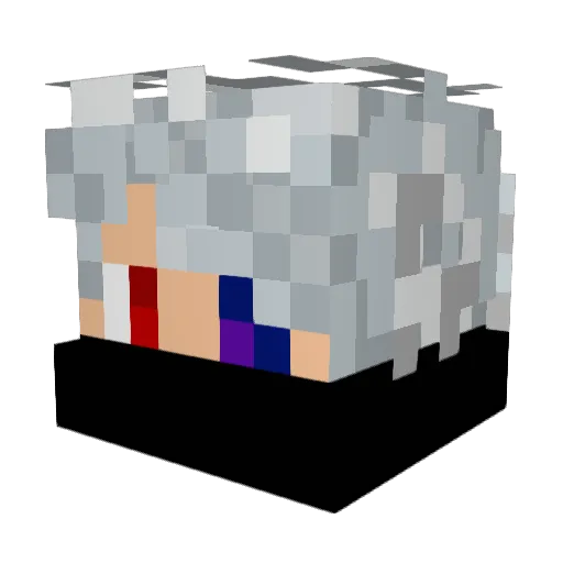 nightfurymoiz Minecraft avatar head, 3D render