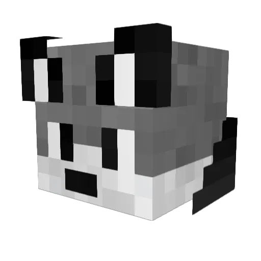 nightguyxl Minecraft avatar head, 3D render