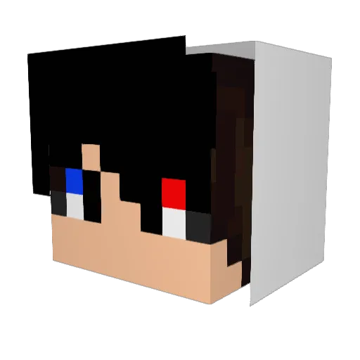 nighthawk93 Minecraft avatar head, 3D render