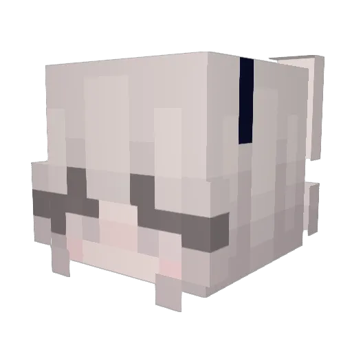 Minecraft-Avatar von nightkrtech: Kopf als 3D-Render