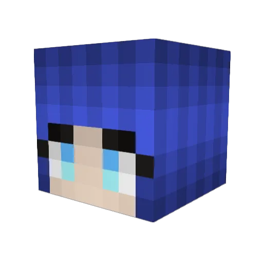 nightlygamers Minecraft avatar head, 3D render