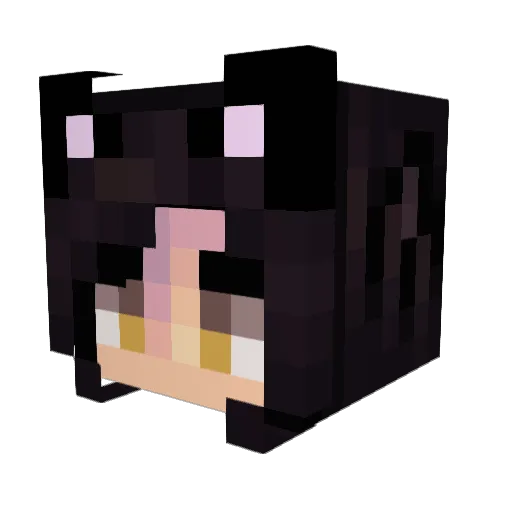 nightmare8591 Minecraft avatar head, 3D render