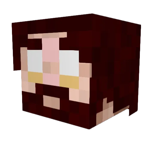 nightmarecraft88 Minecraft avatar head, 3D render