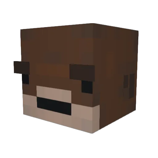 nightmarepi Minecraft avatar head, 3D render