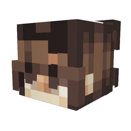 nightprincess95 Minecraft avatar head, 3D render