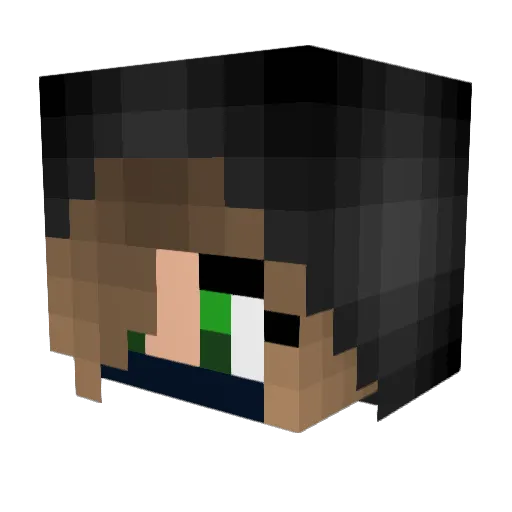 nightshade6 Minecraft avatar head, 3D render