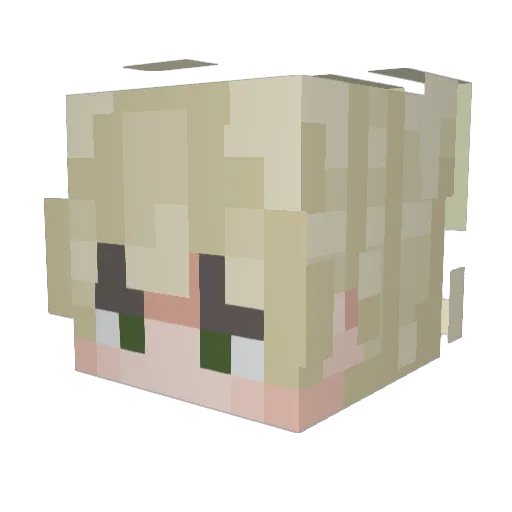 nightslaces Minecraft avatar head, 3D render