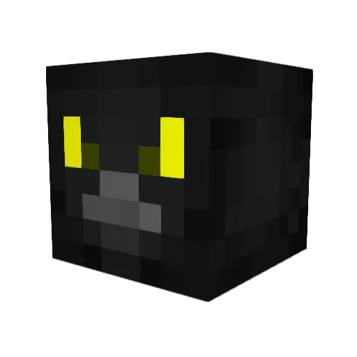 nightstalker1313 Minecraft avatar head, 3D render