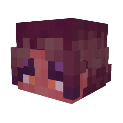 nightstar00 Minecraft avatar head, 3D render