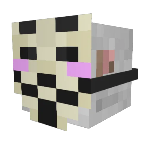 nightstepskater Minecraft avatar head, 3D render