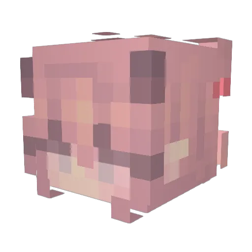 nightwalkrr Minecraft avatar head, 3D render