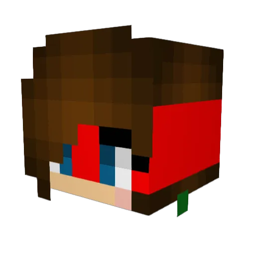 nightwatcher101 Minecraft avatar head, 3D render