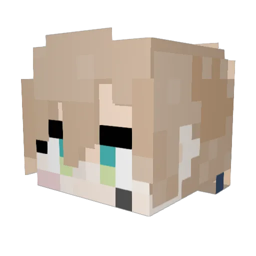 nigmogim Minecraft avatar head, 3D render
