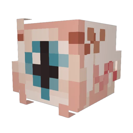 nihilmelatonin Minecraft avatar head, 3D render