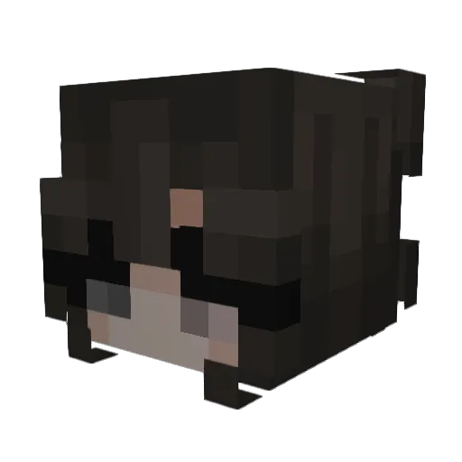 nihilty Minecraft avatar head, 3D render