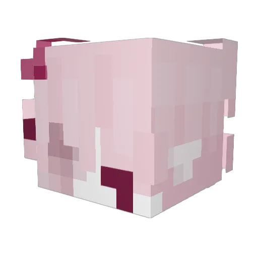 nihowoof Minecraft avatar head, 3D render