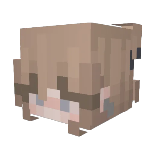 niiawn Minecraft avatar head, 3D render