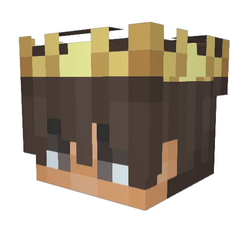 niick_ct Minecraft avatar head, 3D render
