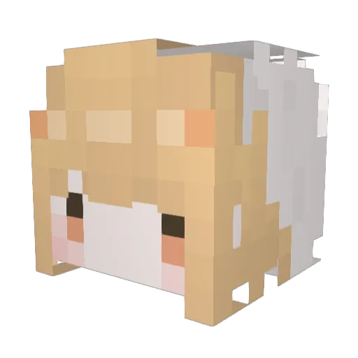 niicy0 Minecraft avatar head, 3D render