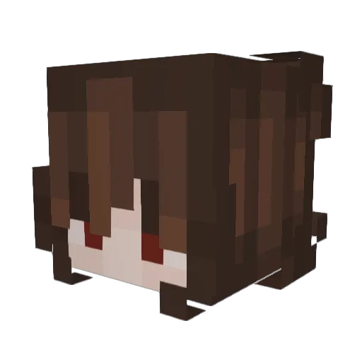 niimbused Minecraft avatar head, 3D render