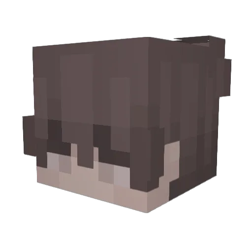 niiwdes Minecraft avatar head, 3D render