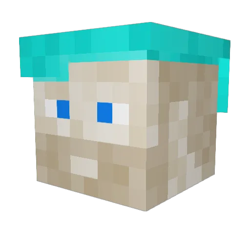 nijeskoc Minecraft avatar head, 3D render