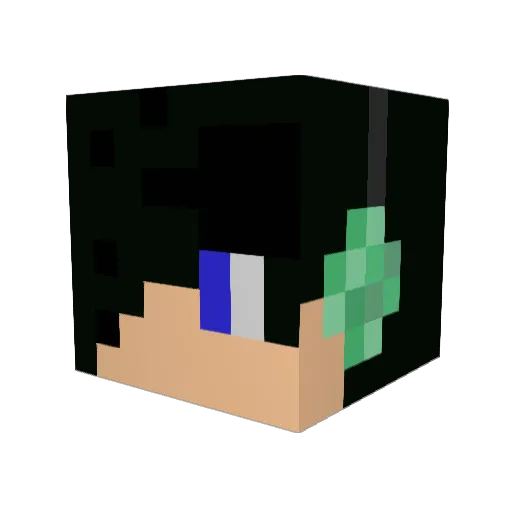 nijusk5 Minecraft avatar head, 3D render