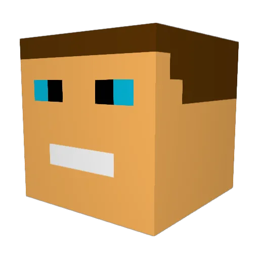 nikalas66 Minecraft avatar head, 3D render