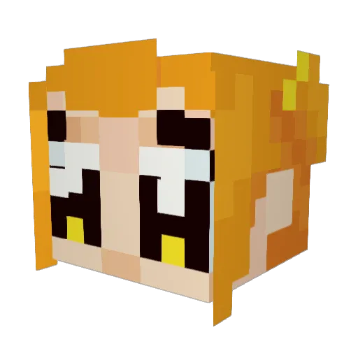 nikalz Minecraft avatar head, 3D render