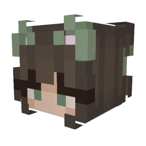 nikarooni Minecraft avatar head, 3D render