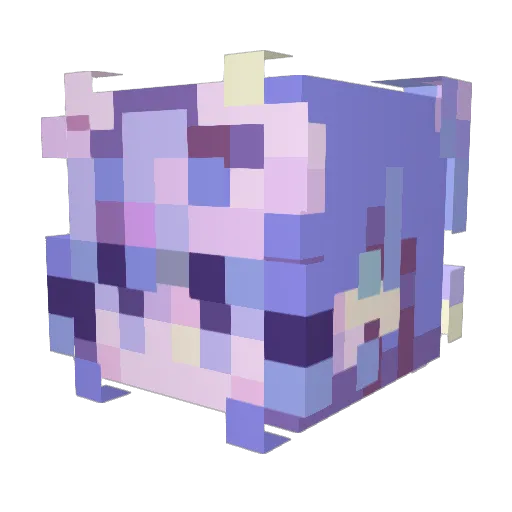 nikecba Minecraft avatar head, 3D render
