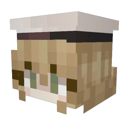 nikecigenjoyer Minecraft avatar head, 3D render