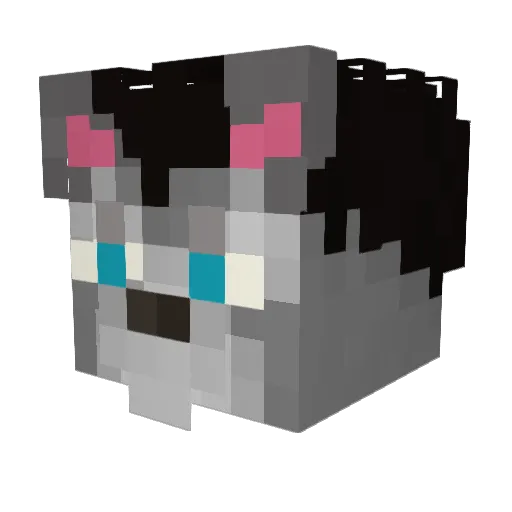 nikey03 Minecraft avatar head, 3D render