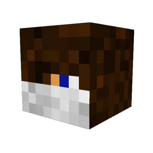 nikey250 Minecraft avatar head, 3D render