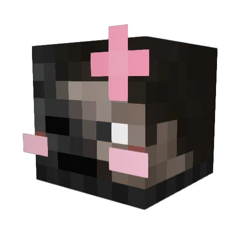 nikezzaayyy Minecraft avatar head, 3D render