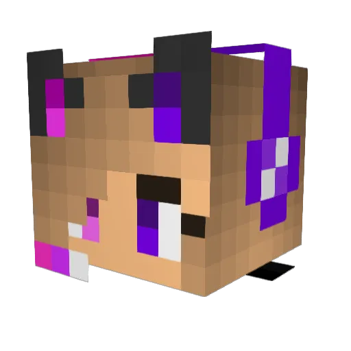 nikiflower2003 Minecraft avatar head, 3D render