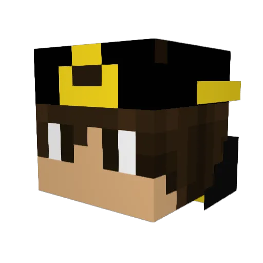 nikinator2000 Minecraft avatar head, 3D render